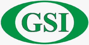 P - GSI P - GSI